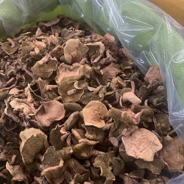 红乳牛肝菌。统货。量大可优惠
