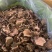 红乳牛肝菌。统货。量大可优惠
