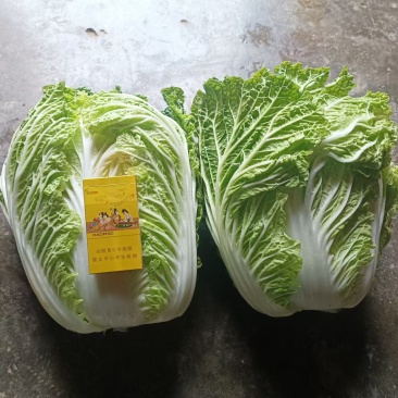 主打品质