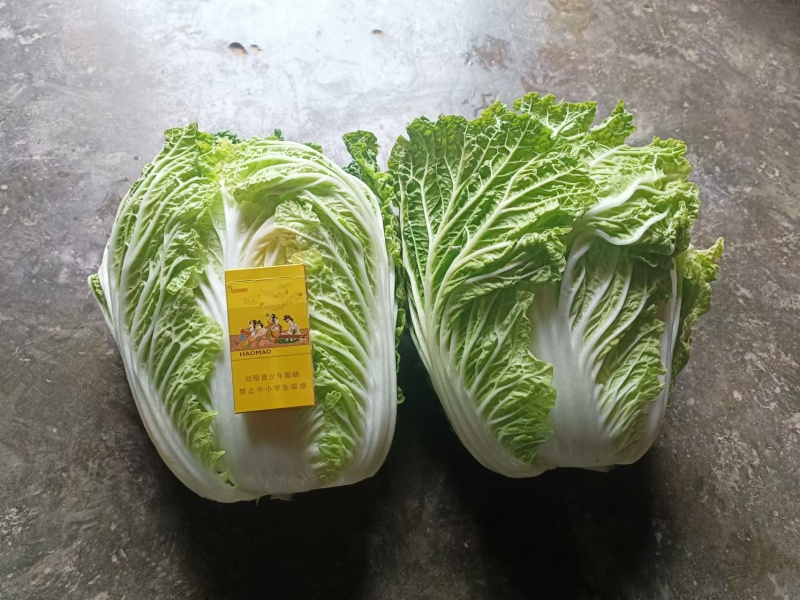 主打品质