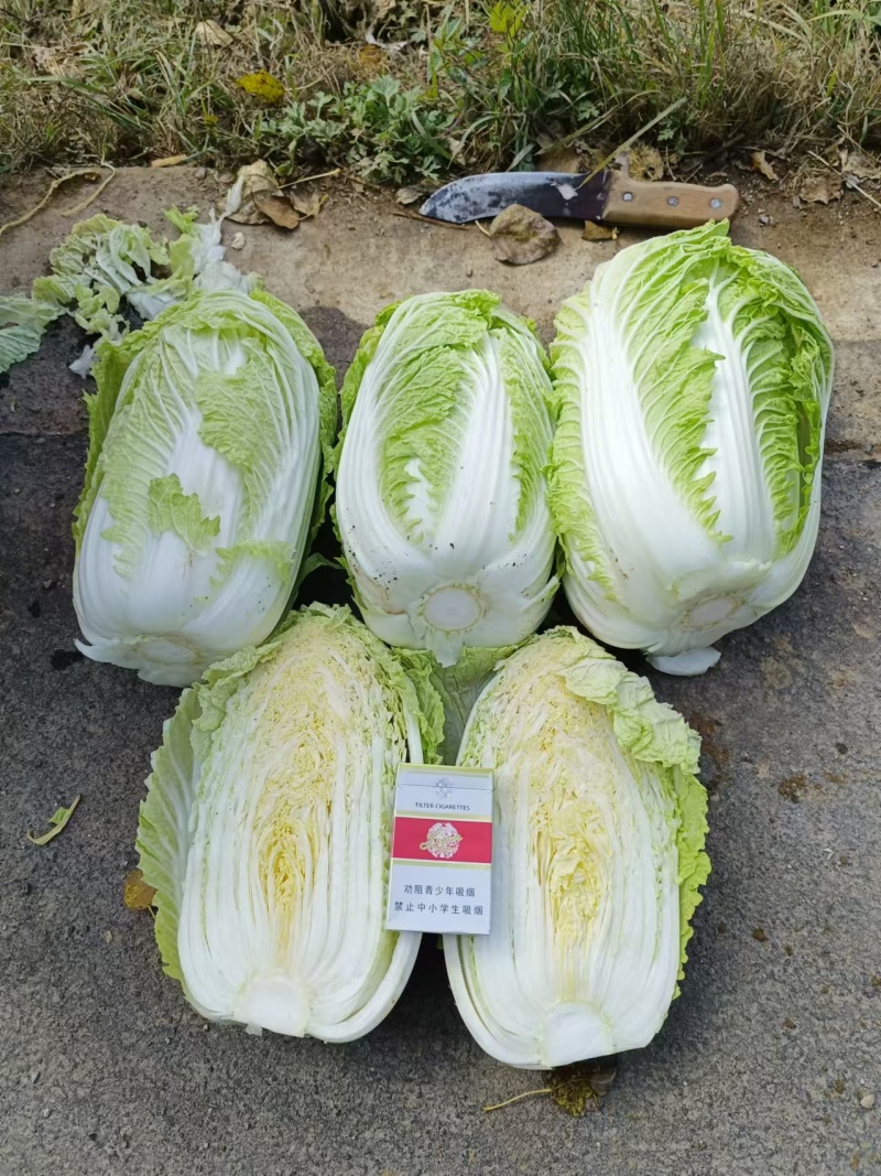 主打品质