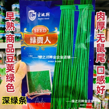 绿贵人黑眉豆角种子长豇豆种子早熟肉厚无鼠尾绿色长豆角种籽