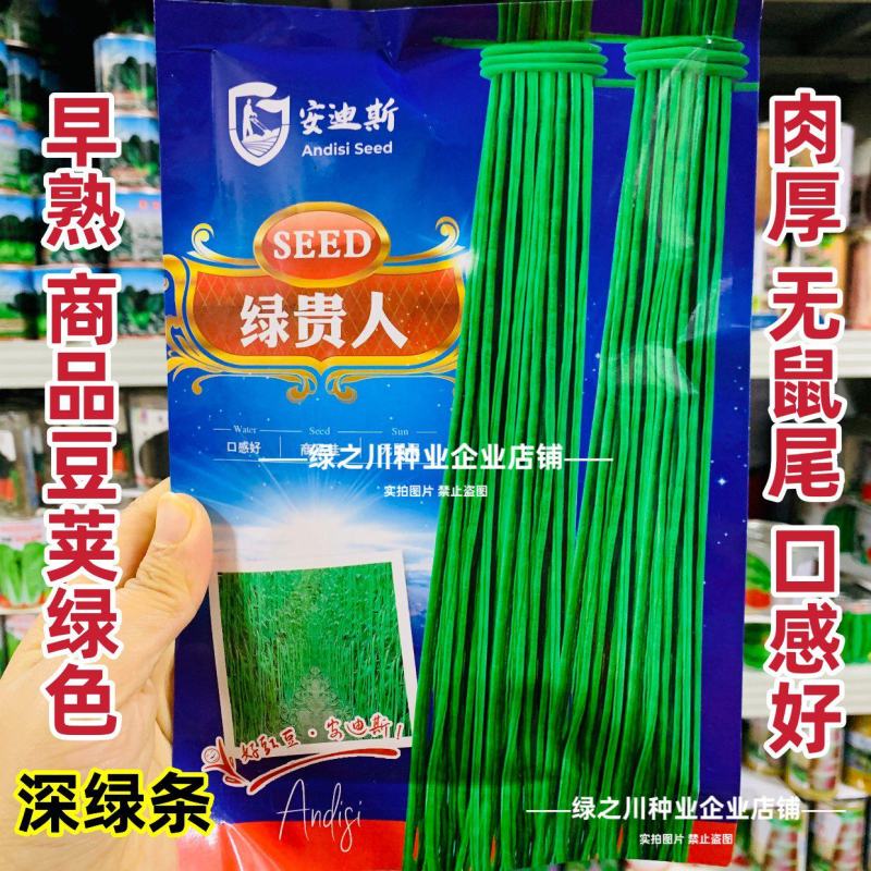 绿贵人黑眉豆角种子长豇豆种子早熟肉厚无鼠尾绿色长豆角种籽