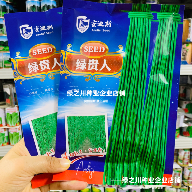 绿贵人黑眉豆角种子长豇豆种子早熟肉厚无鼠尾绿色长豆角种籽