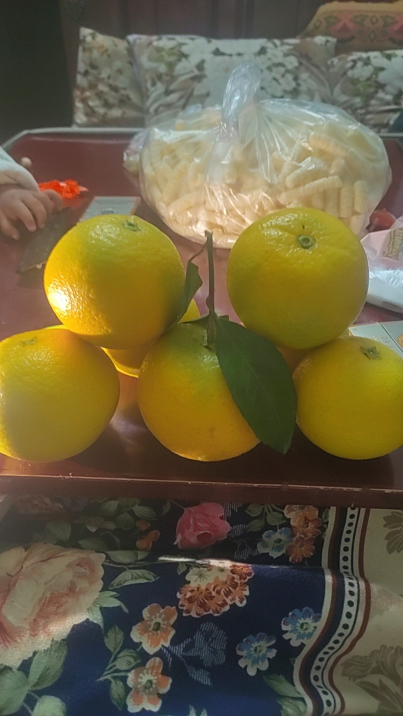 湖南麻阳冰糖橙产地直销，规格齐全，量大价格从优，对接全国