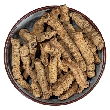 巴戟天/中药材干品/地道广东货/无硫新品/全抽芯/规格全