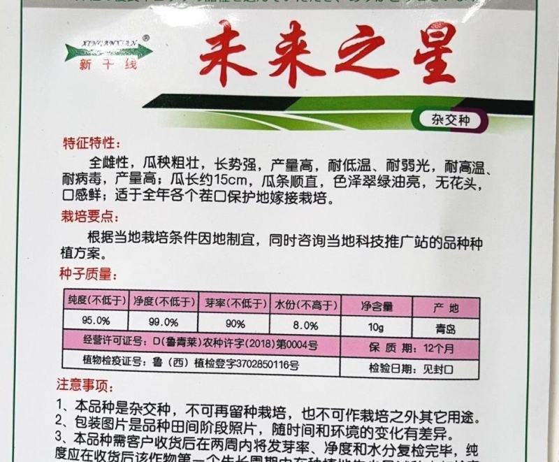 水果黄瓜种子未来之星全雌耐热型瓜条顺直翠绿品质