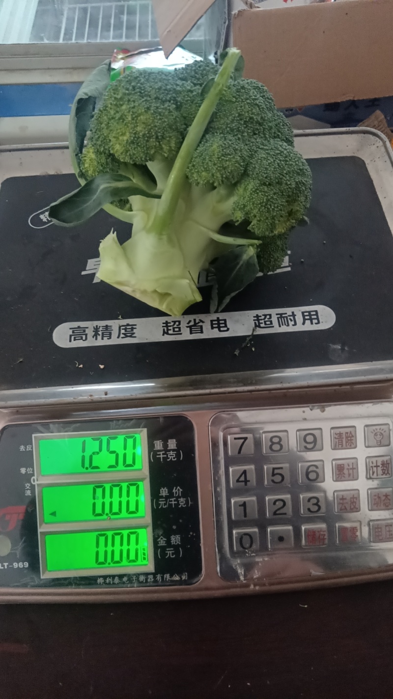 耐寒优秀西兰花基地开园了，万亩基地，大量有货，质优价廉！