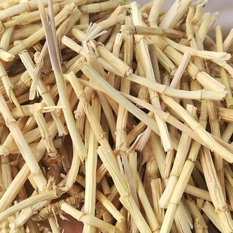 5公分白茅根