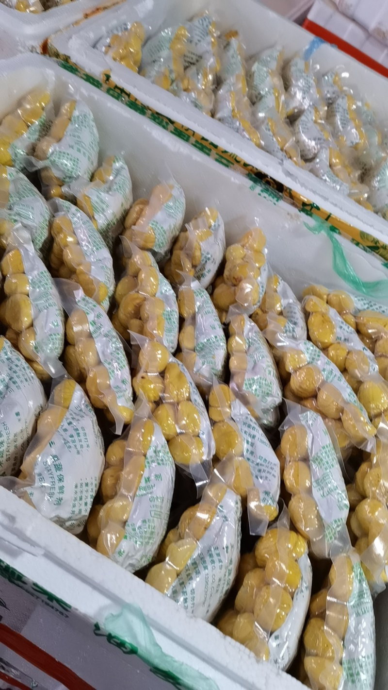 精选板栗米板栗肉板栗仁真空包装米
