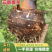 【全国发货】云南香芋人头芋，淀粉含量高，口感软糯对接商超
