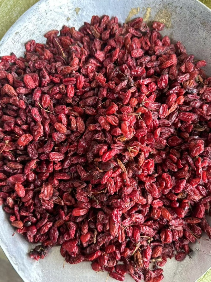 山萸肉山茱萸萸肉实拍枣皮无糖非含糖货