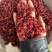 山萸肉山茱萸萸肉实拍枣皮无糖非含糖货