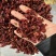 山萸肉山茱萸萸肉实拍枣皮无糖非含糖货