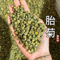 胎菊胎菊米实拍颜色好发货如图胎菊花茶