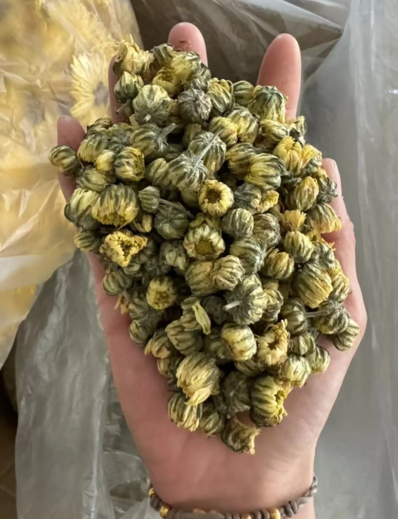 胎菊胎菊米实拍颜色好发货如图胎菊花茶