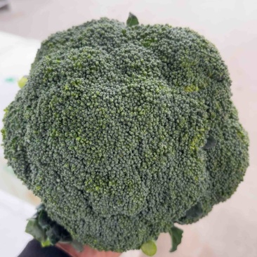 西兰花
