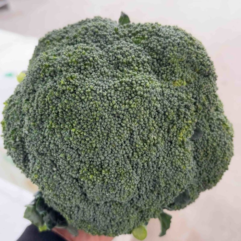 西兰花
