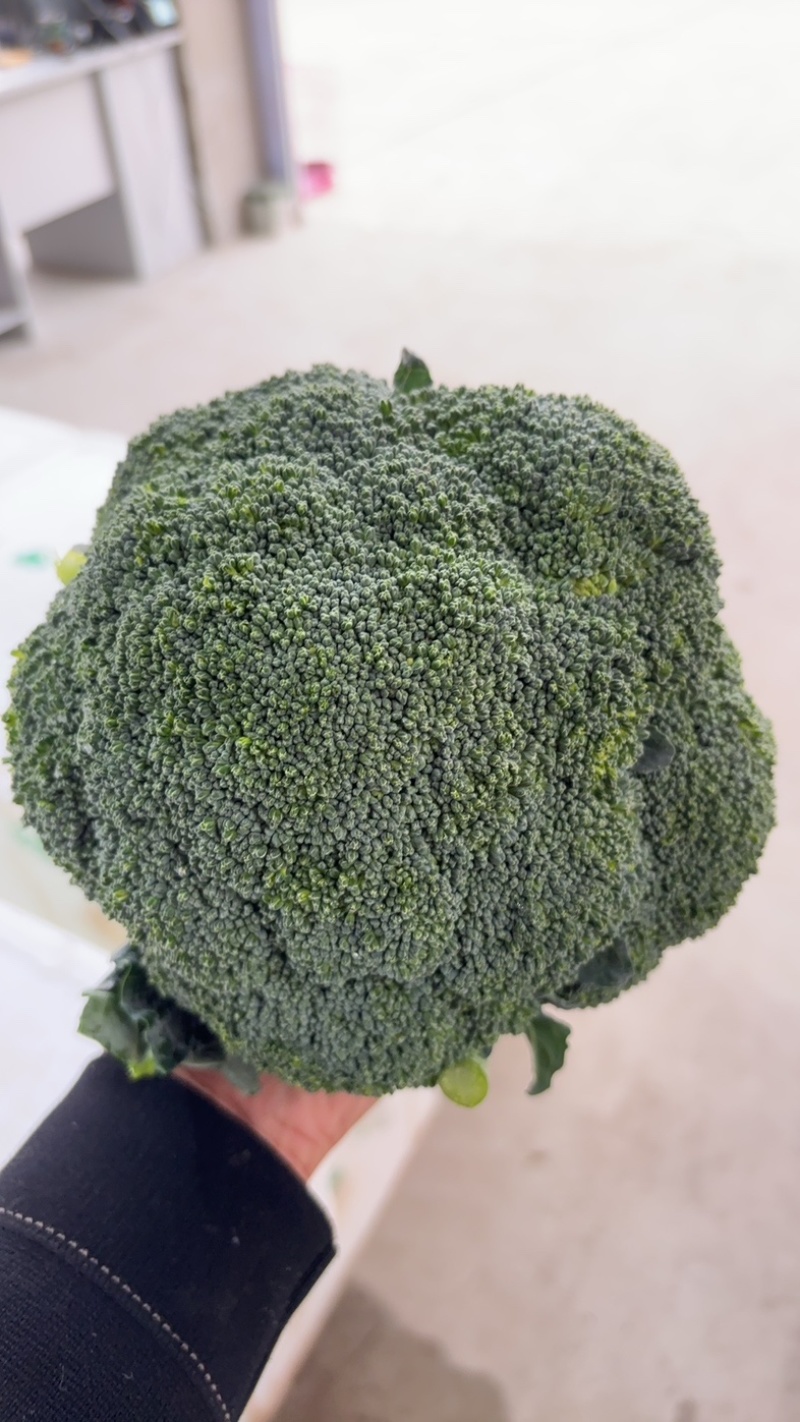 西兰花