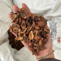 金樱子金樱子肉金樱子个干货金樱子实拍发货如图