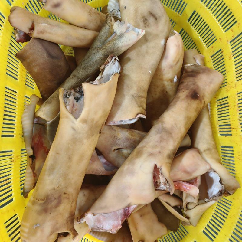 草原火烧牛蹄皮，新鲜干净肉厚，量大老板提前订货！