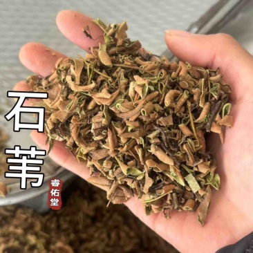 石苇正品石苇小叶石韦发货如图现货过筛货