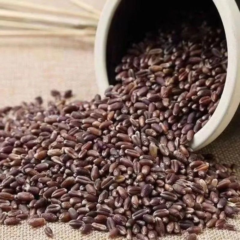 黑麦面粉粗粮食品食用粉纯黑全麦粉