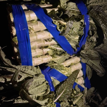 红莴苣，尖叶莴笋叶水好，颜色漂亮，无冰口，无疤，打困上车