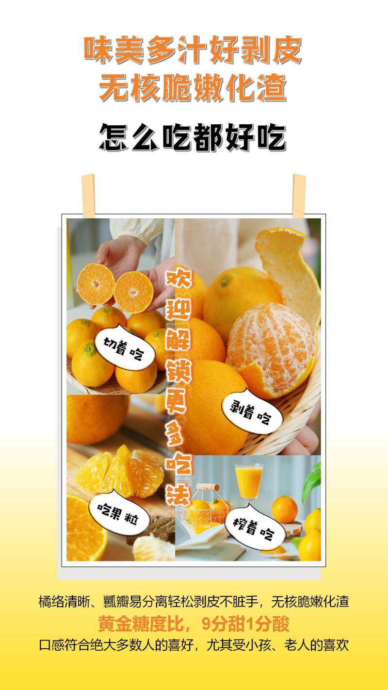 主推‌川津1号柑橘又名胖花柑糖度高口感脆甜