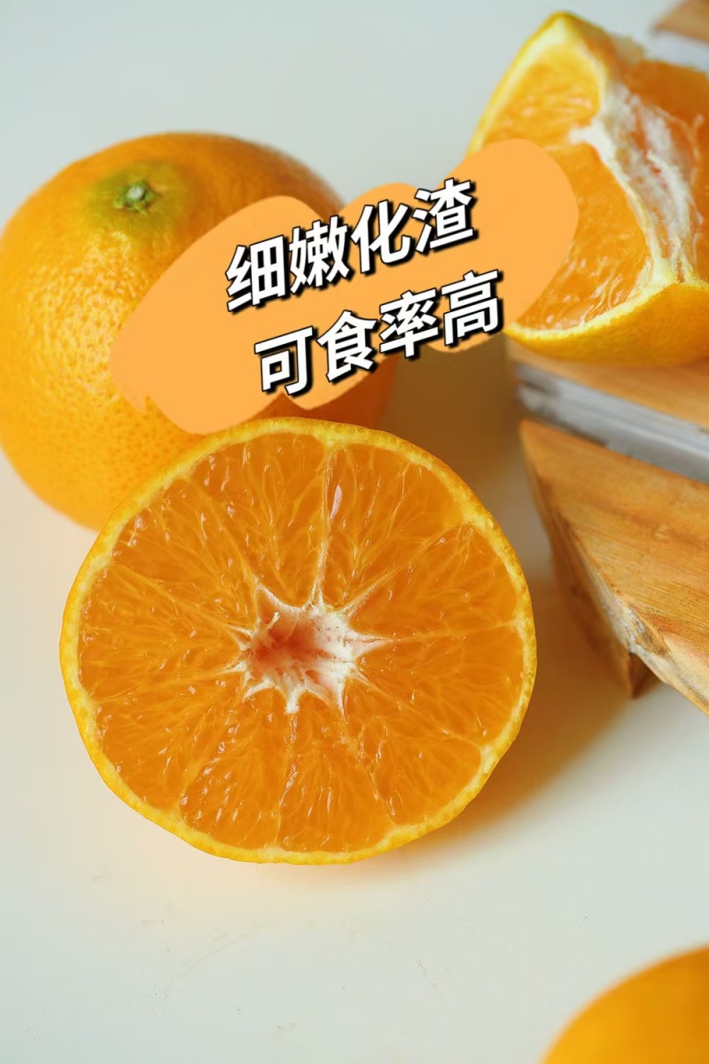 主推‌川津1号柑橘又名胖花柑糖度高口感脆甜