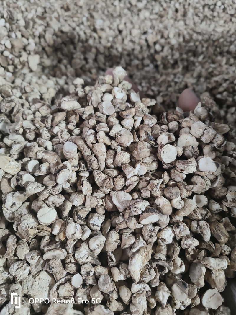香菇脚干香菇单剪抛光无杂质产地直发常年供应品质保证