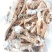 纯草地现拔牛蹄筋，纯干新鲜价格实惠！质量保证，实物实拍！