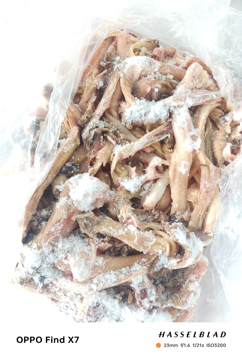 纯草地现拔牛蹄筋，纯干新鲜价格实惠！质量保证，实物实拍！