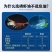 【厂家直销】南极磷虾油凝胶糖果深海虾青素营养好