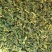 现货盐渍香椿，全国接单，各规格都有。
