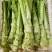 四川棒菜青菜棒棒青菜大量有货全国供应