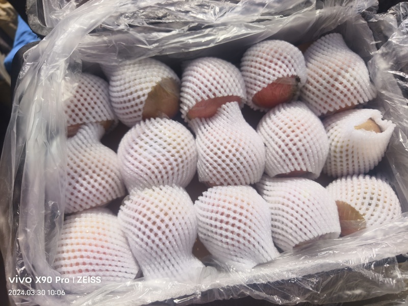冠县富士苹果大量有货。产地直达。一手货源充足