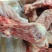 前腿骨