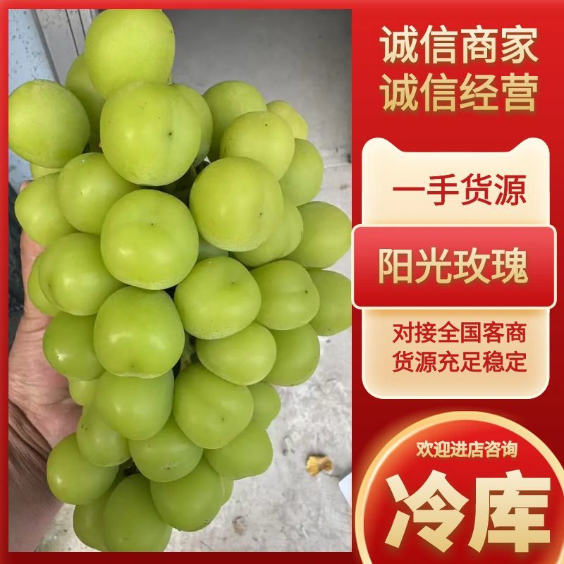 【牛商老店】甄选阳光玫瑰大量供货中实力供应商全年有货