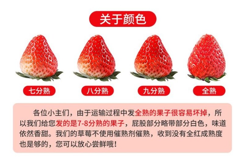 2024凉山德昌露天草莓黔莓甜草莓原产地直供代办一件代发