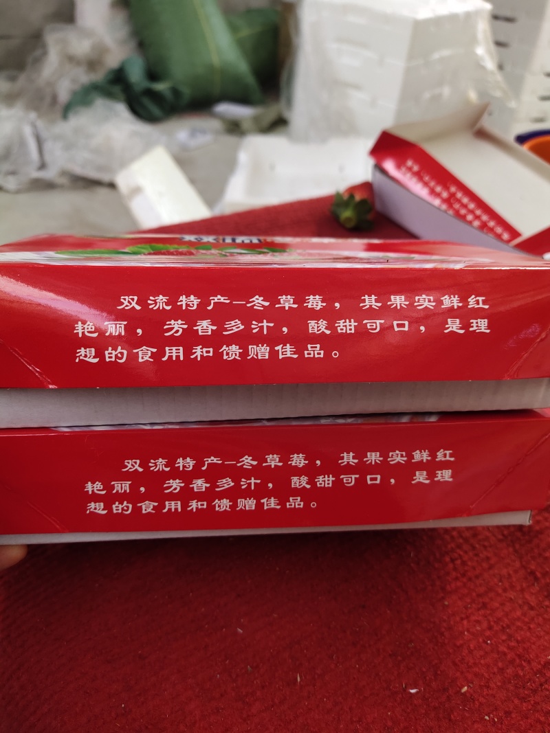 2024凉山德昌露天草莓黔莓甜草莓原产地直供代办一件代发