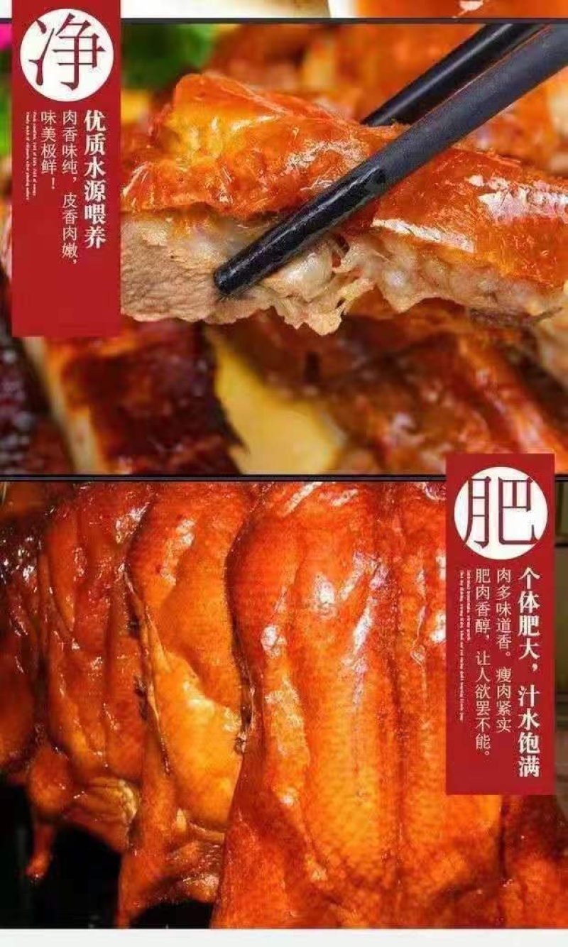 馨齐忆广式烧鹅600克工厂直销，开袋即食
