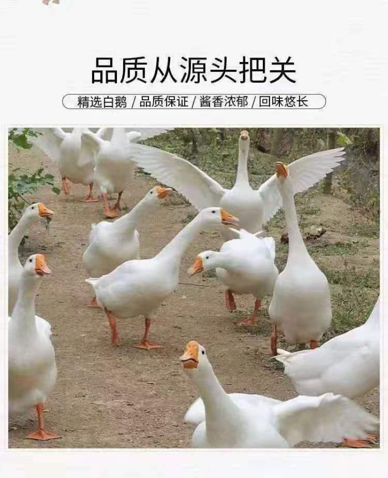 馨齐忆广式烧鹅600克工厂直销，开袋即食