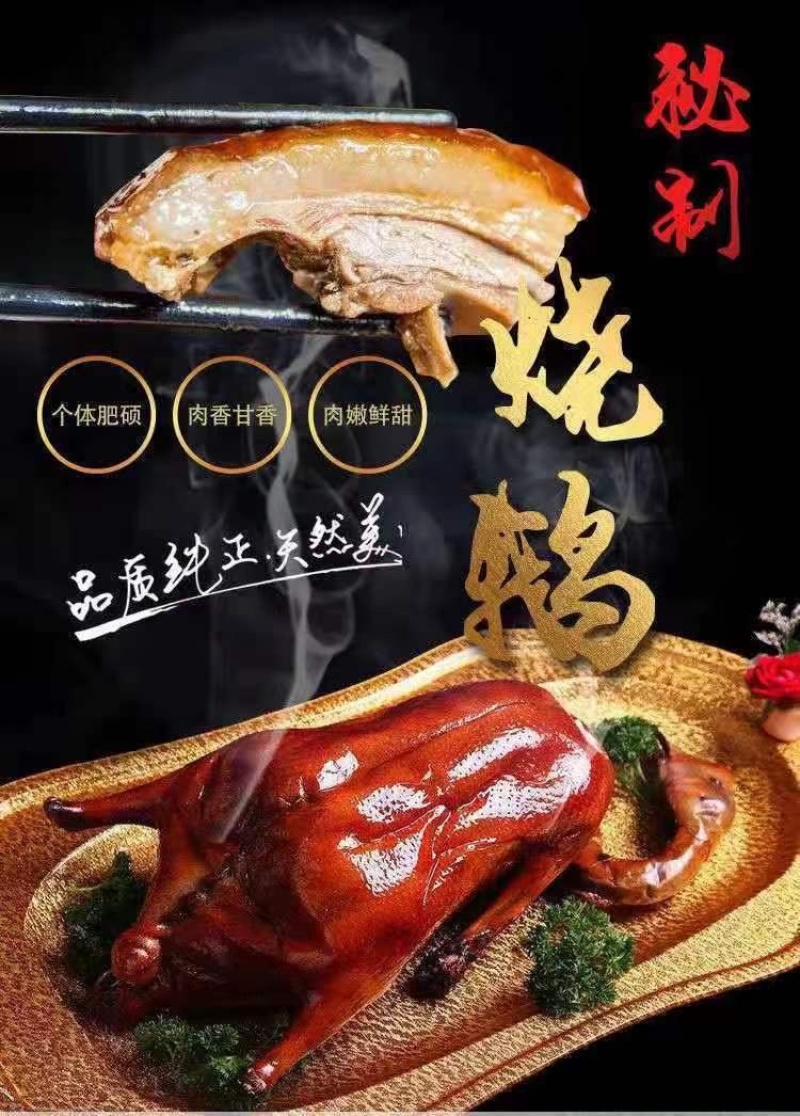 馨齐忆广式烧鹅600克工厂直销，开袋即食