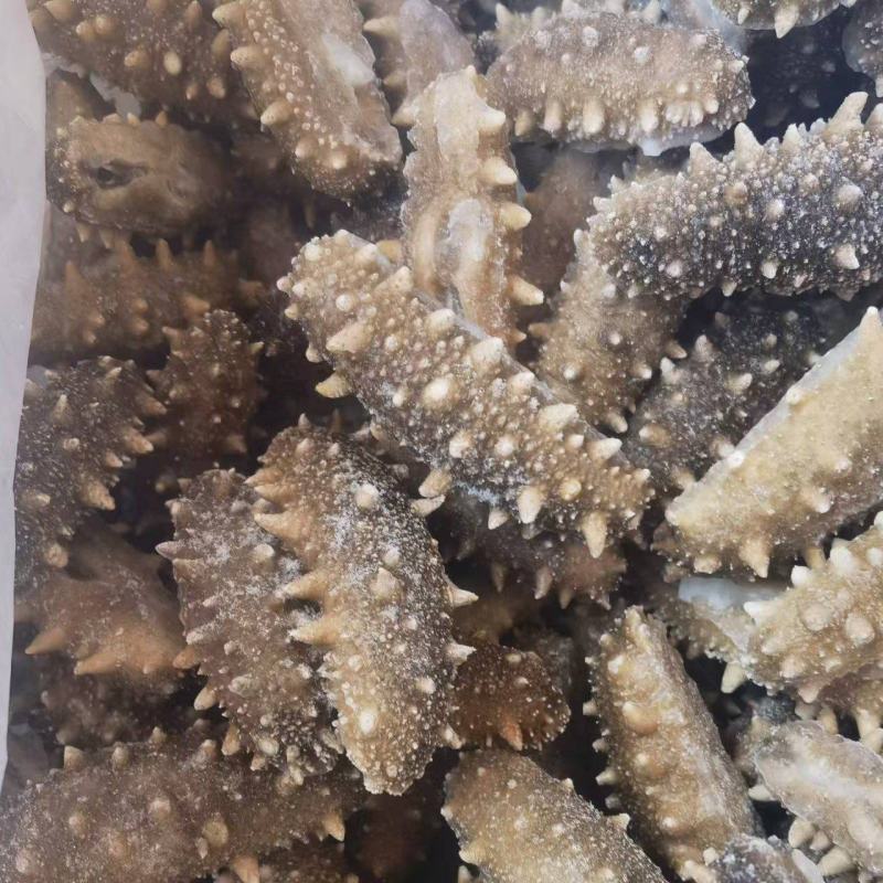 山东海参规格齐全产地直发一手货源欢迎选购
