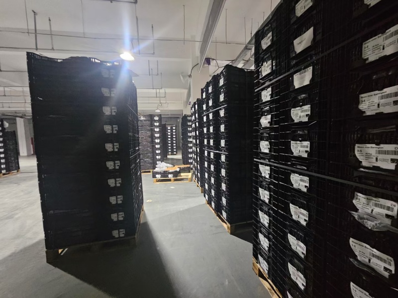 进口芍药种苗包对版假一赔十沙拉以及几十个品种