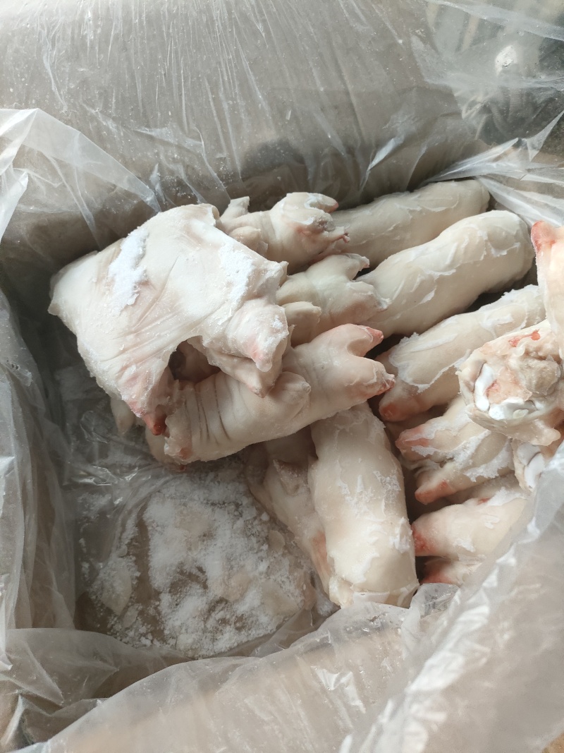 肥猪猪蹄猪手一级带劲猪蹄干净无毛颜色白净可长期供应