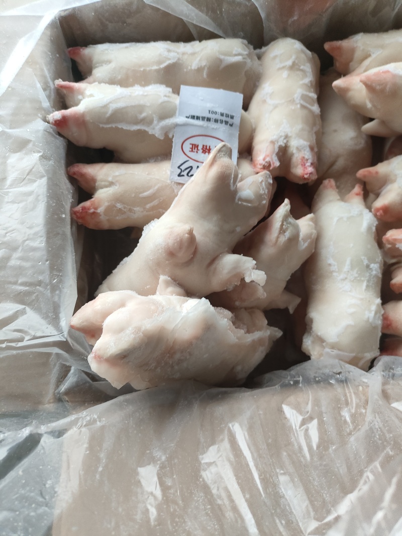 肥猪猪蹄猪手一级带劲猪蹄干净无毛颜色白净可长期供应