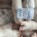 肥猪猪蹄猪手一级带劲猪蹄干净无毛颜色白净可长期供应