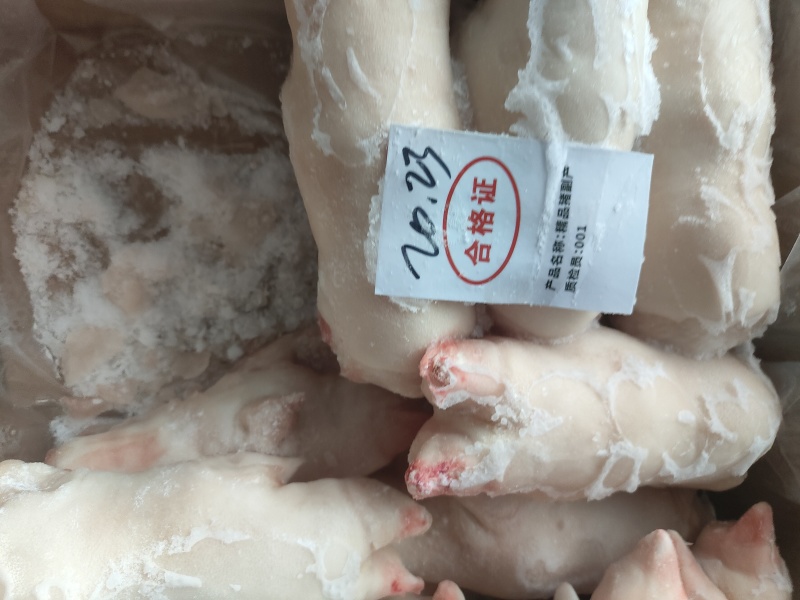 肥猪猪蹄猪手一级带劲猪蹄干净无毛颜色白净可长期供应